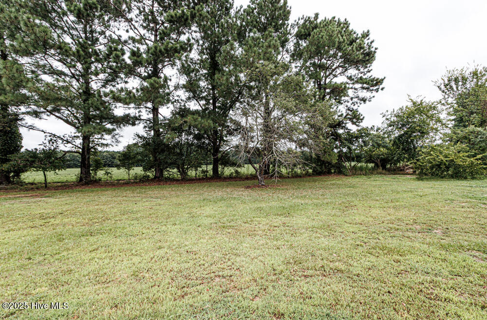 property viewer photo 4