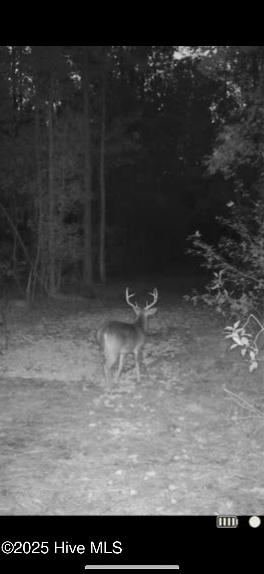 main property photo 44