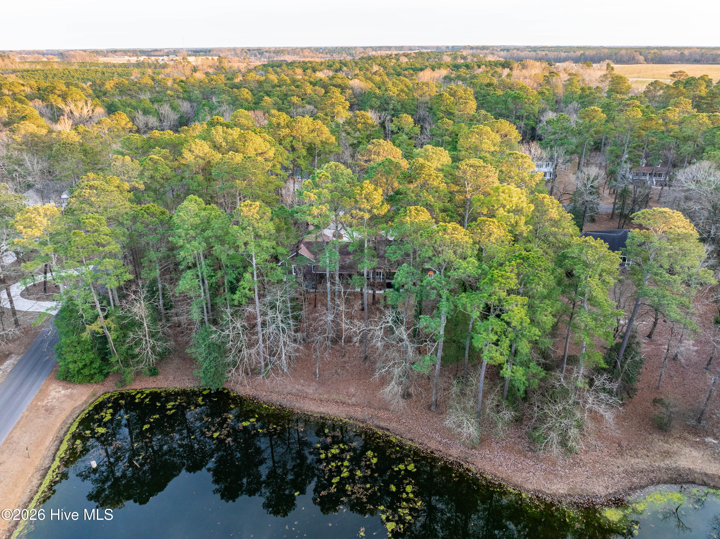 main property photo 7