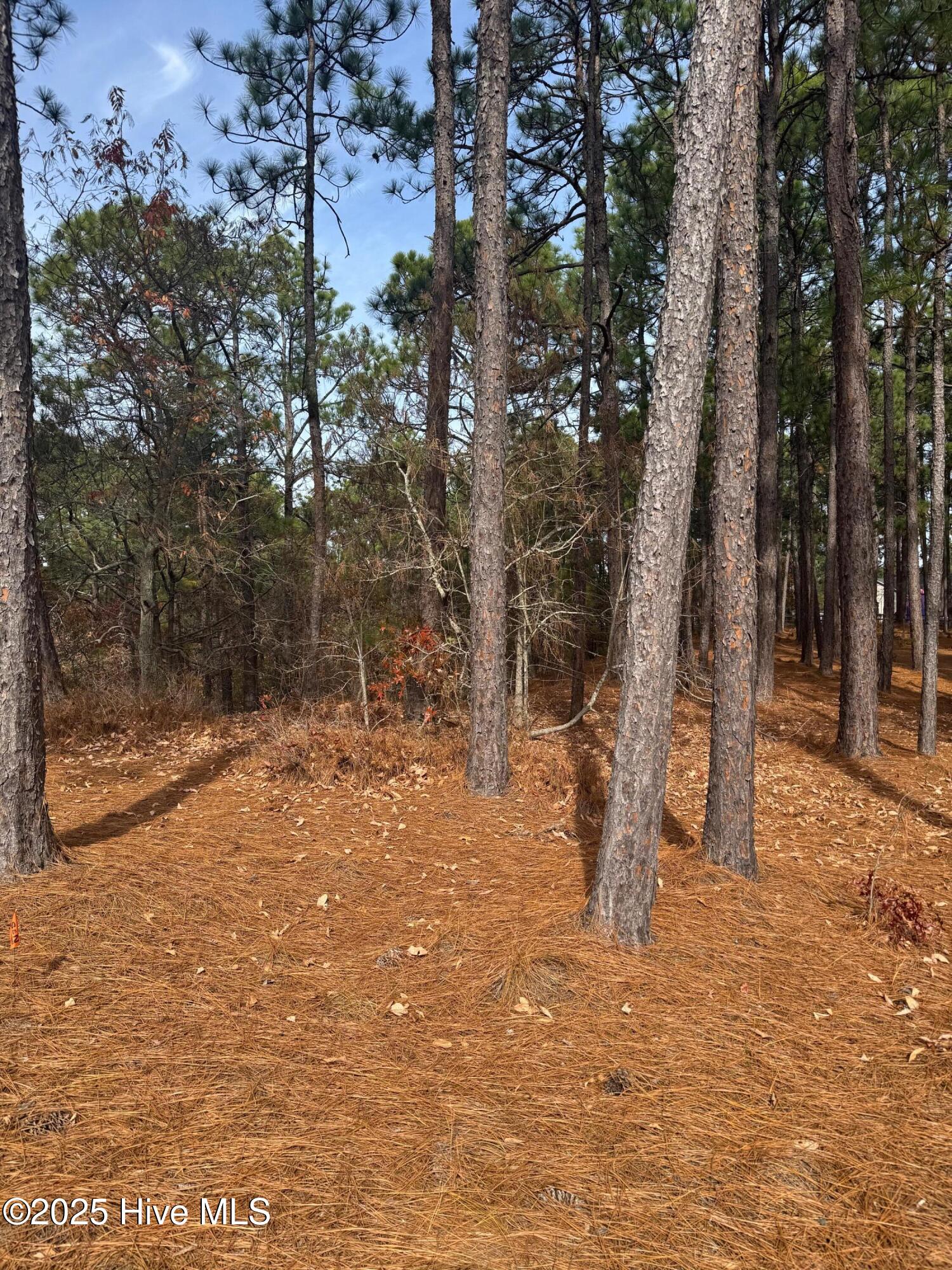 main property photo 11