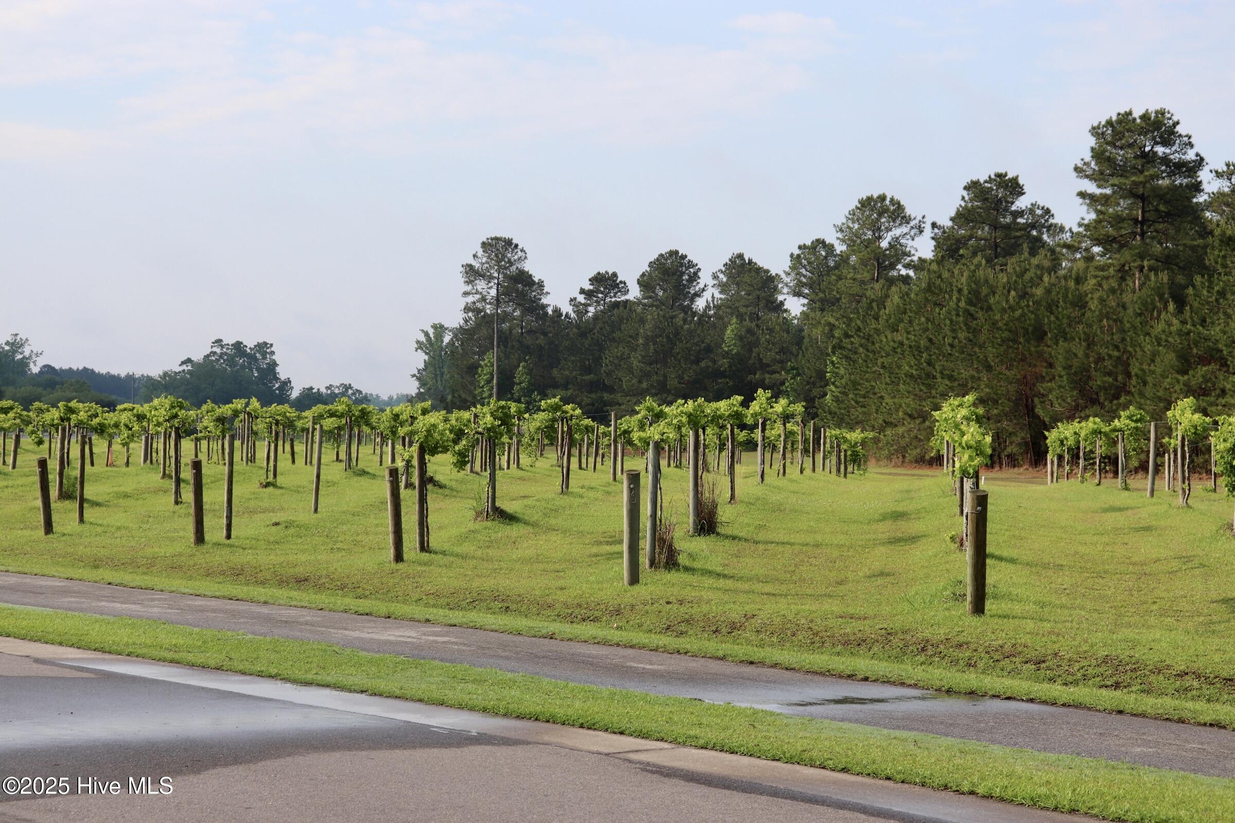 main property photo 64