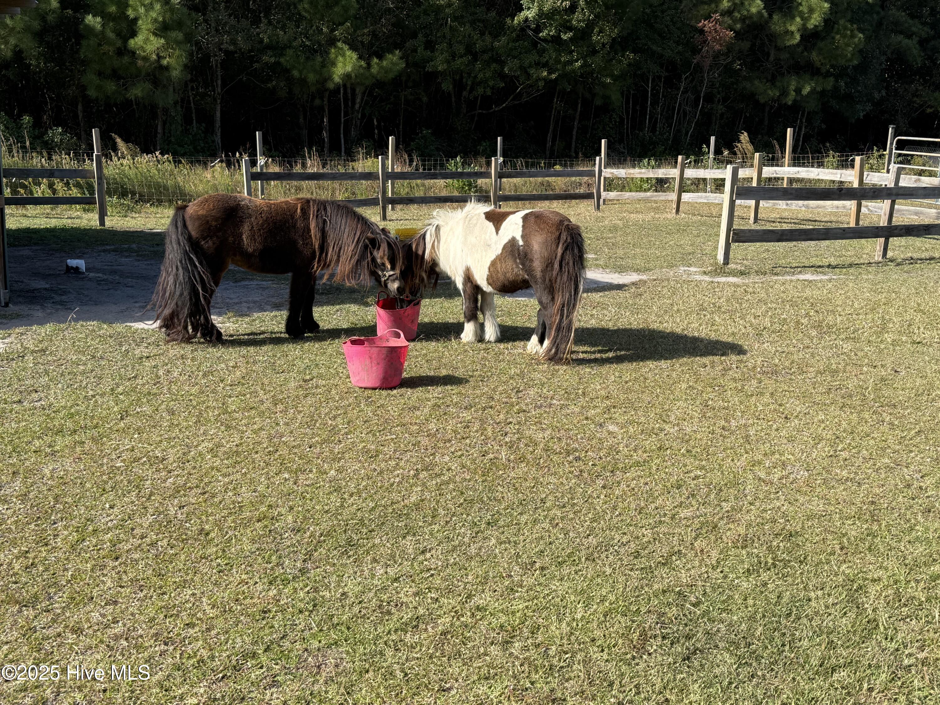 main property photo 73