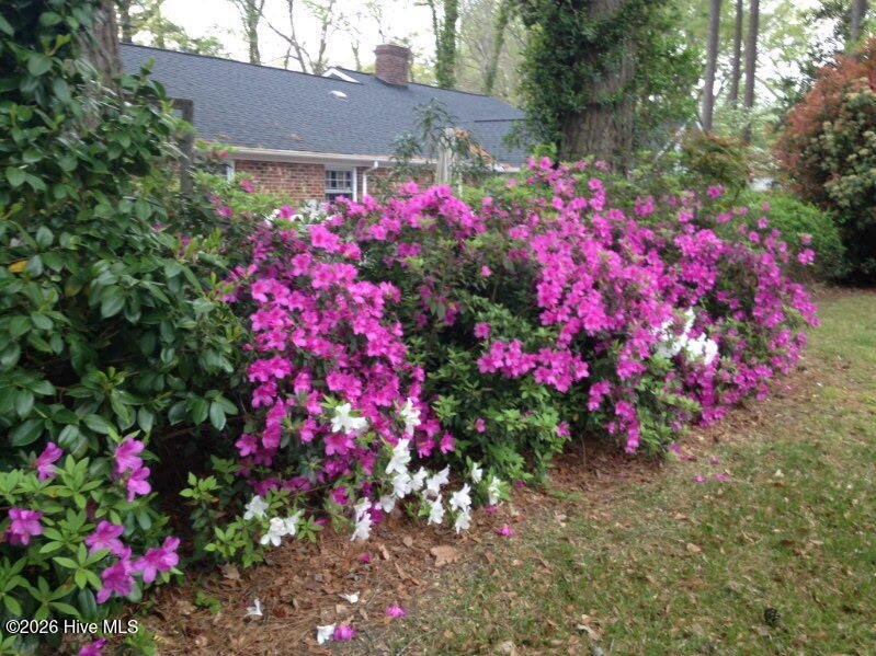 main property photo 68