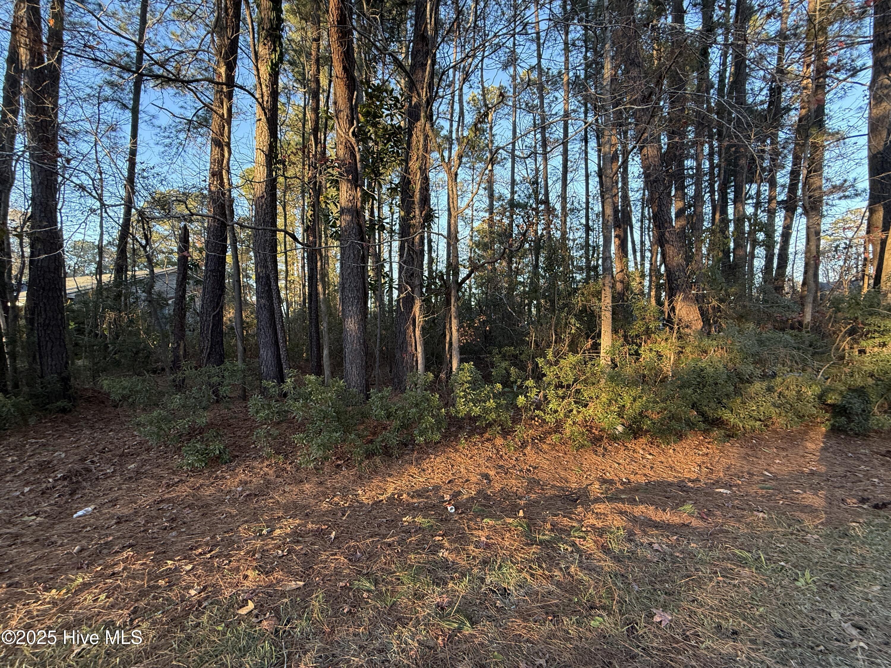 main property photo 8