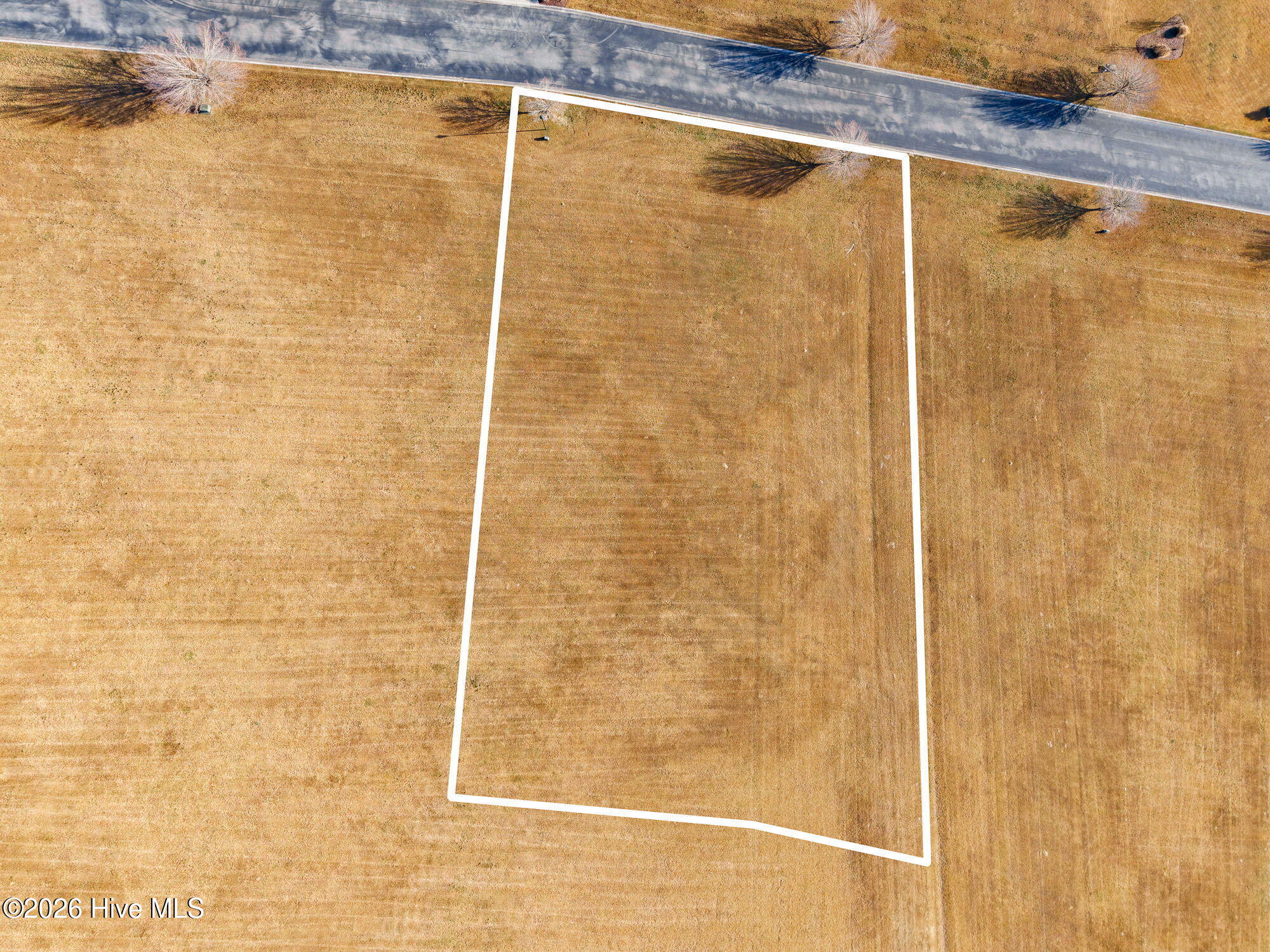 main property photo 8
