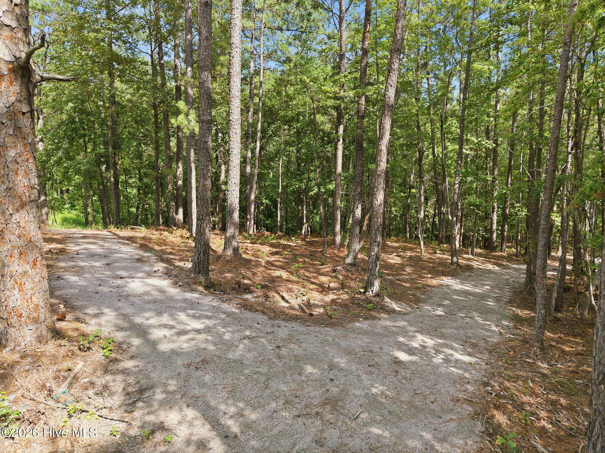 main property photo 52