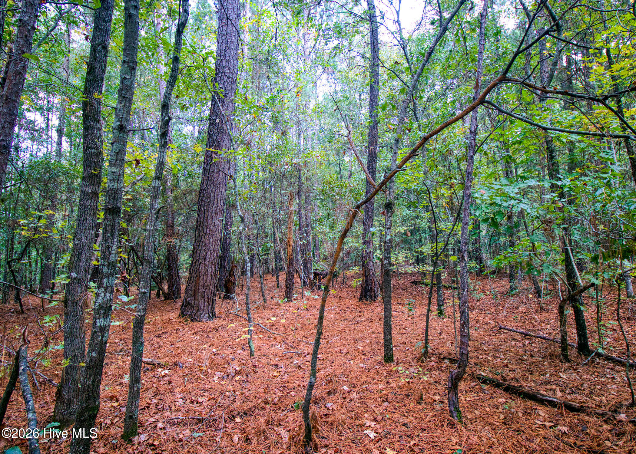 main property photo 24