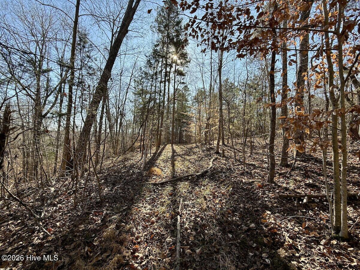 main property photo 18