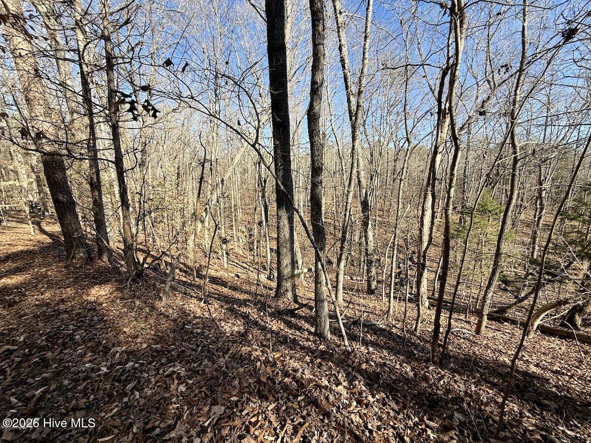 main property photo 27