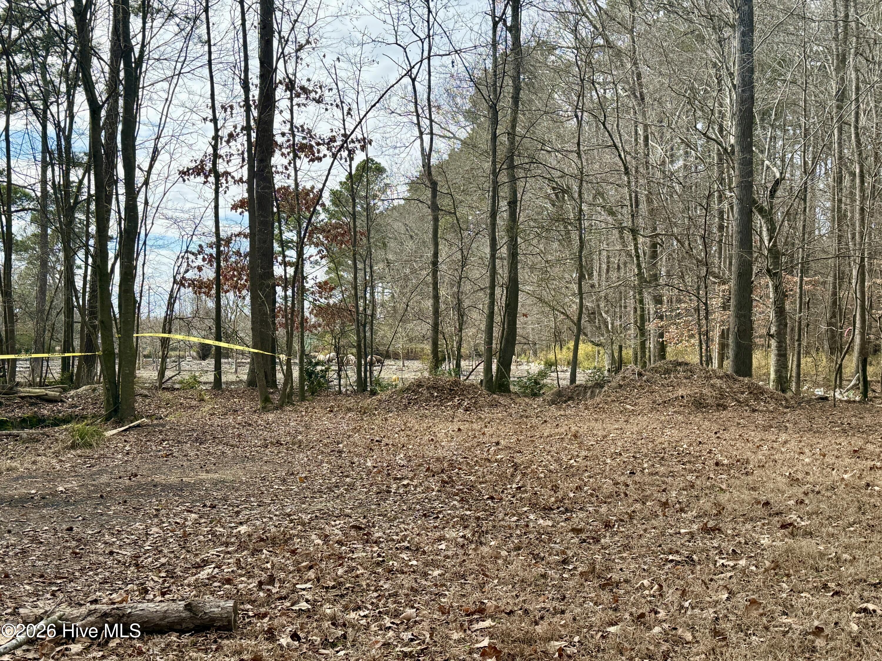 main property photo 42