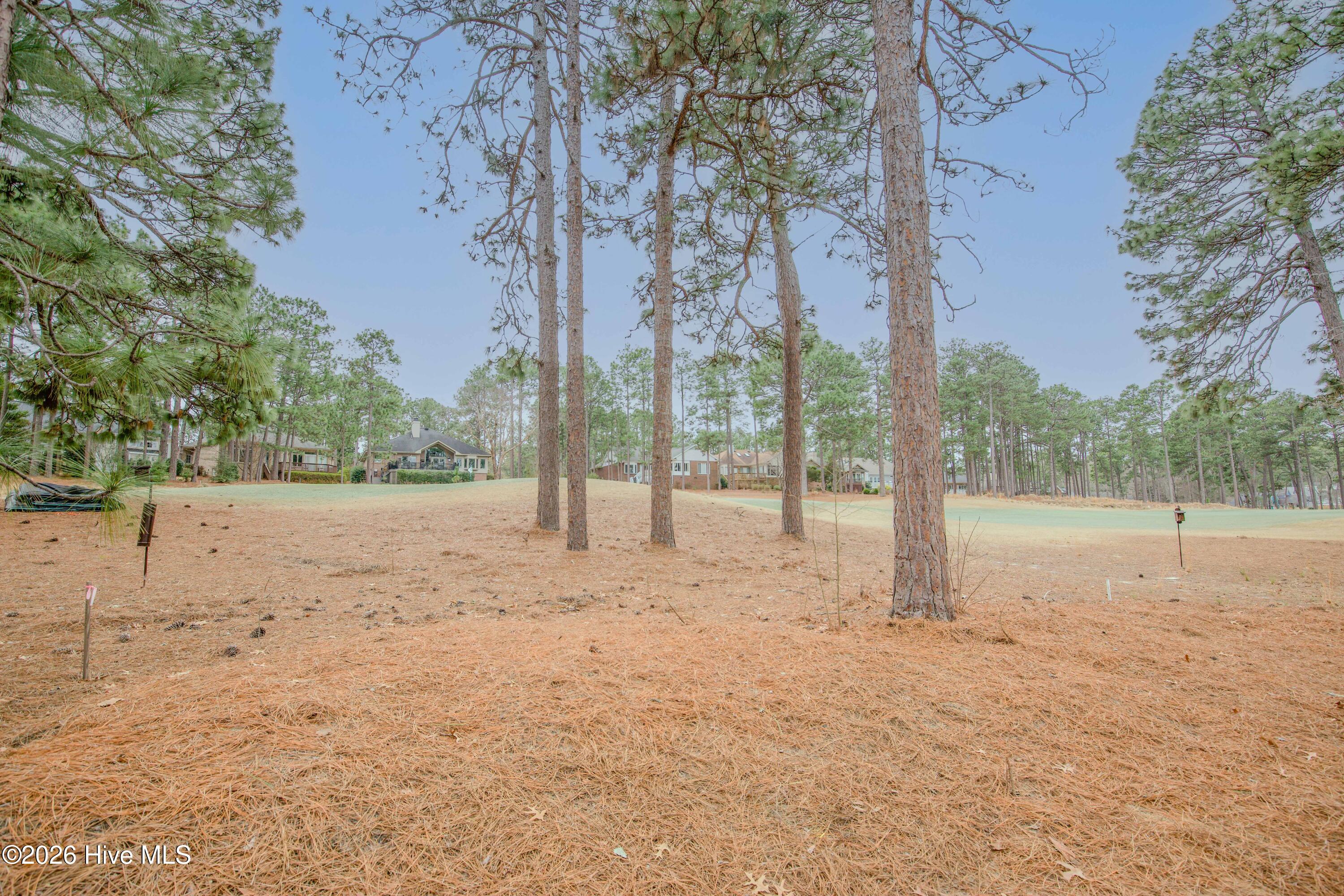 main property photo 62