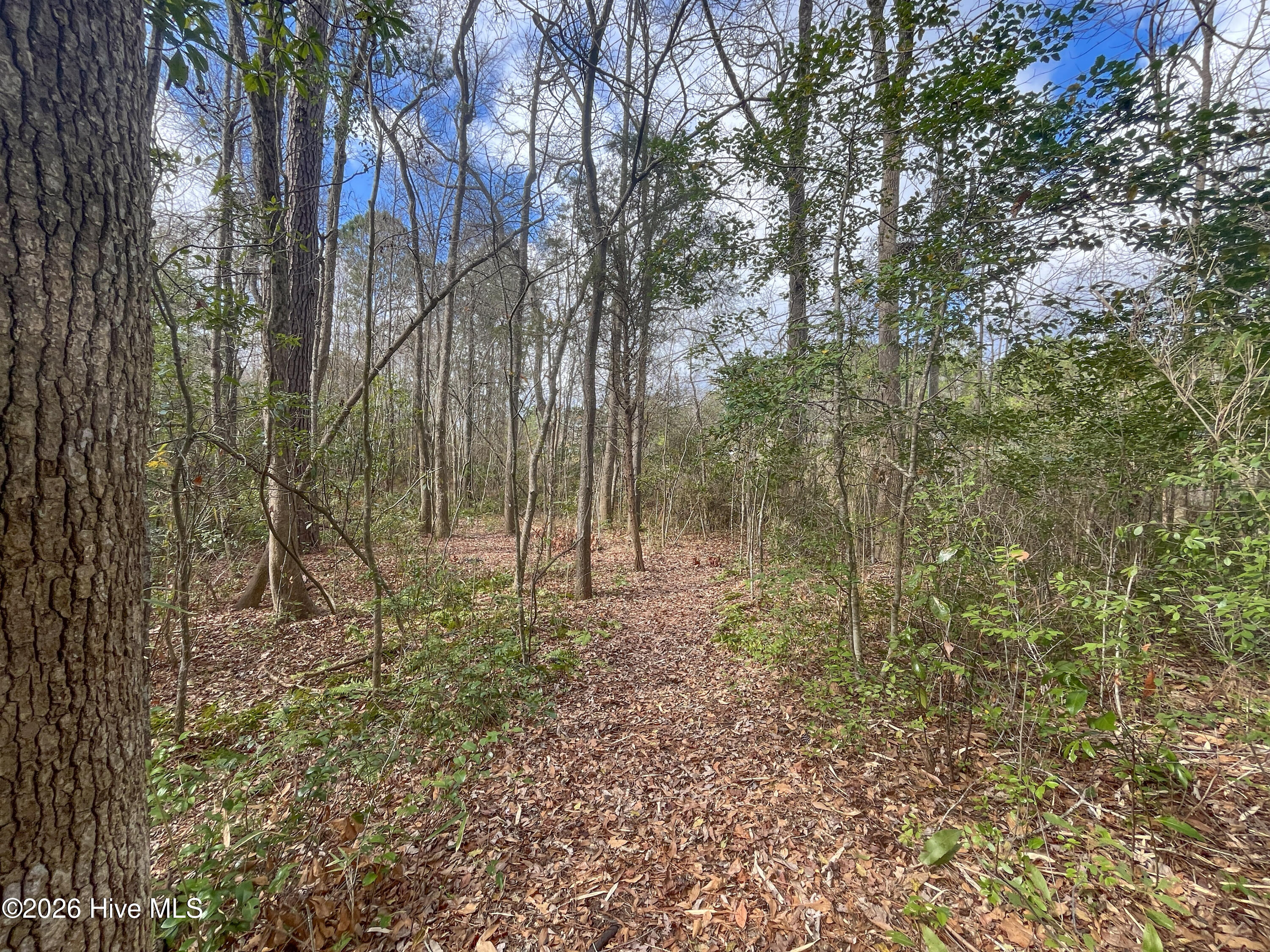 main property photo 29