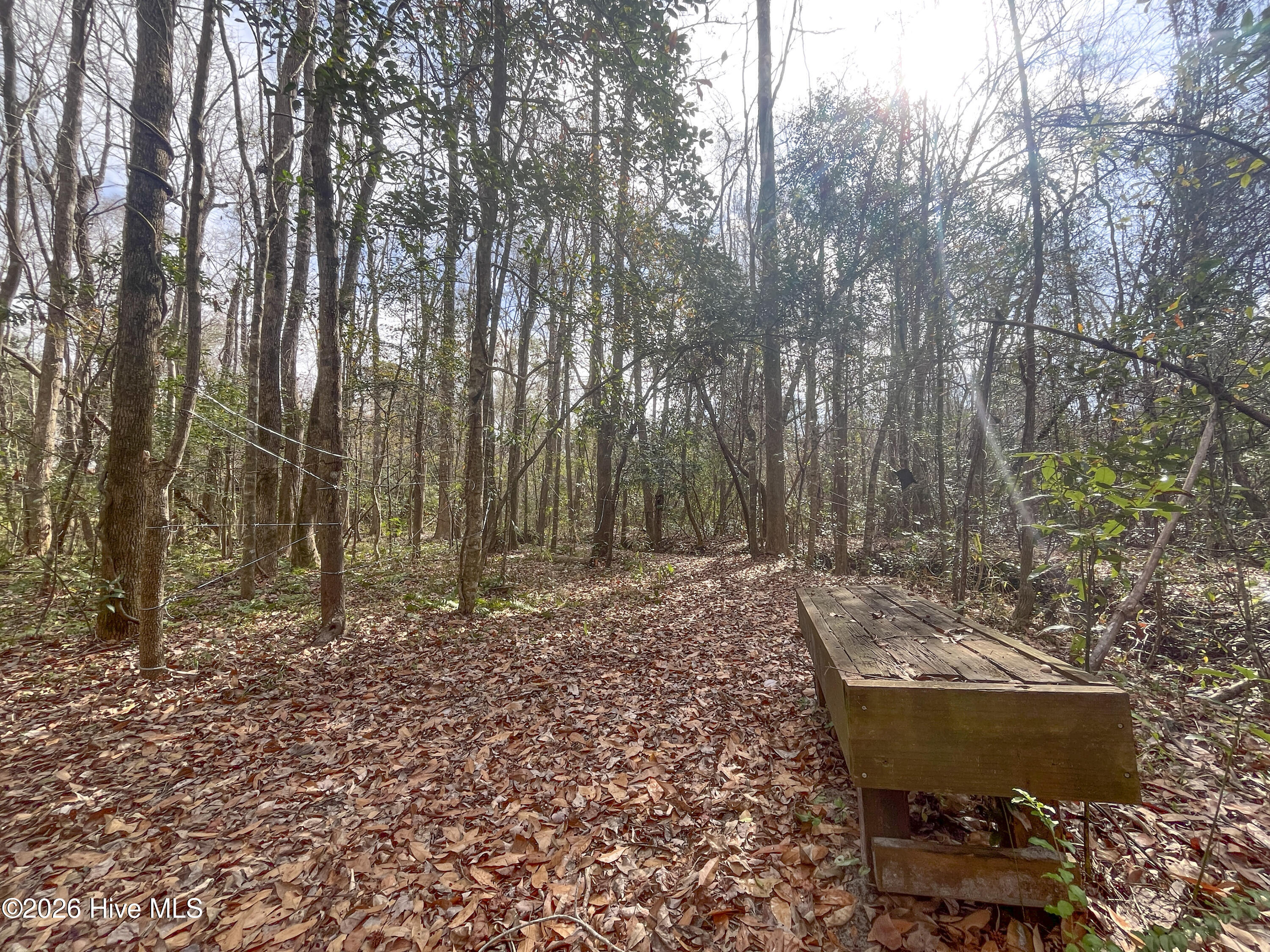 main property photo 31