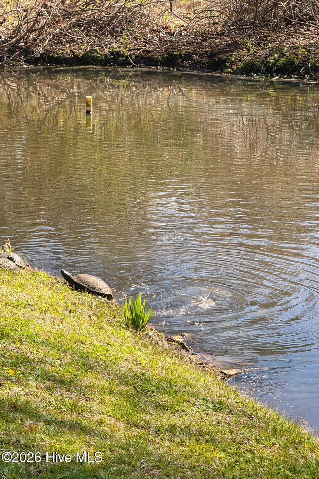 main property photo 55