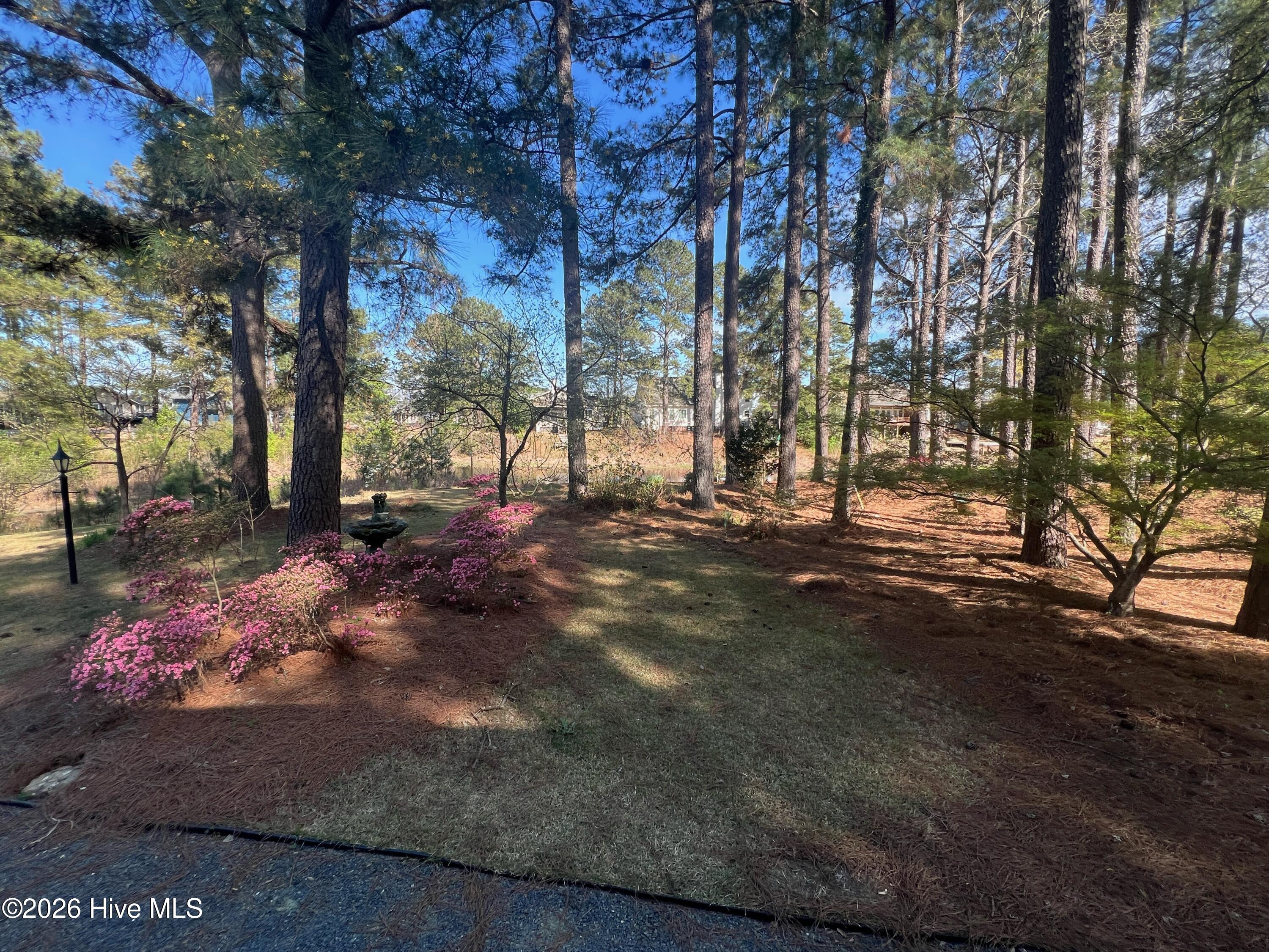main property photo 58