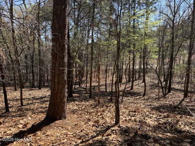 main property photo 11