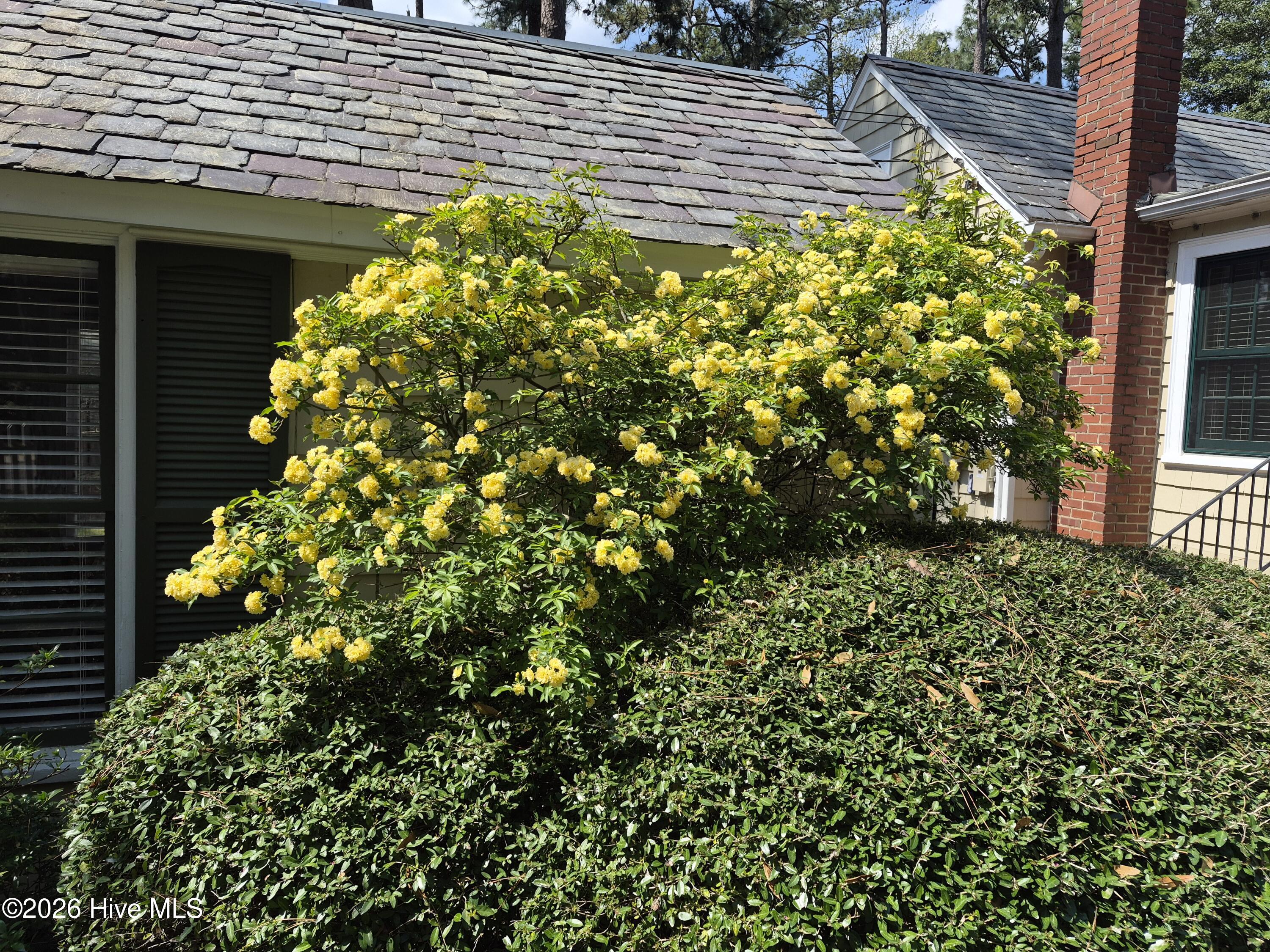 main property photo 84
