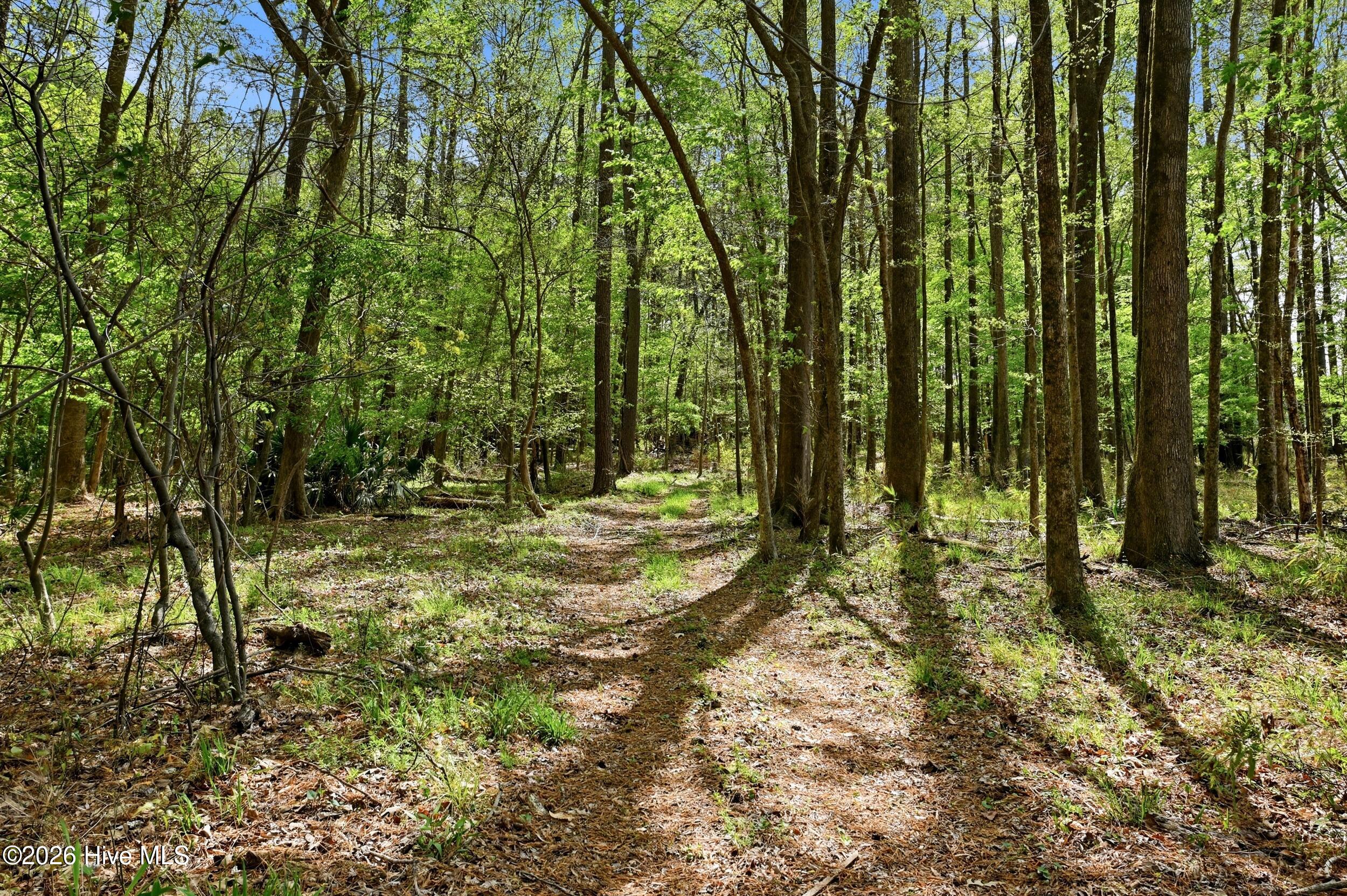 main property photo 83