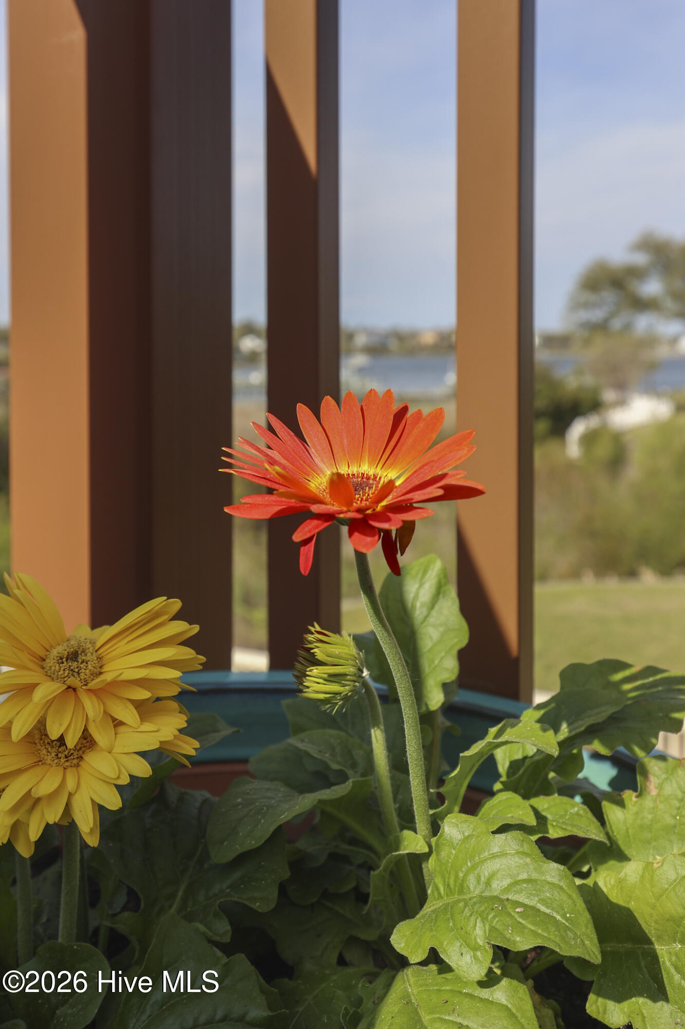 main property photo 70