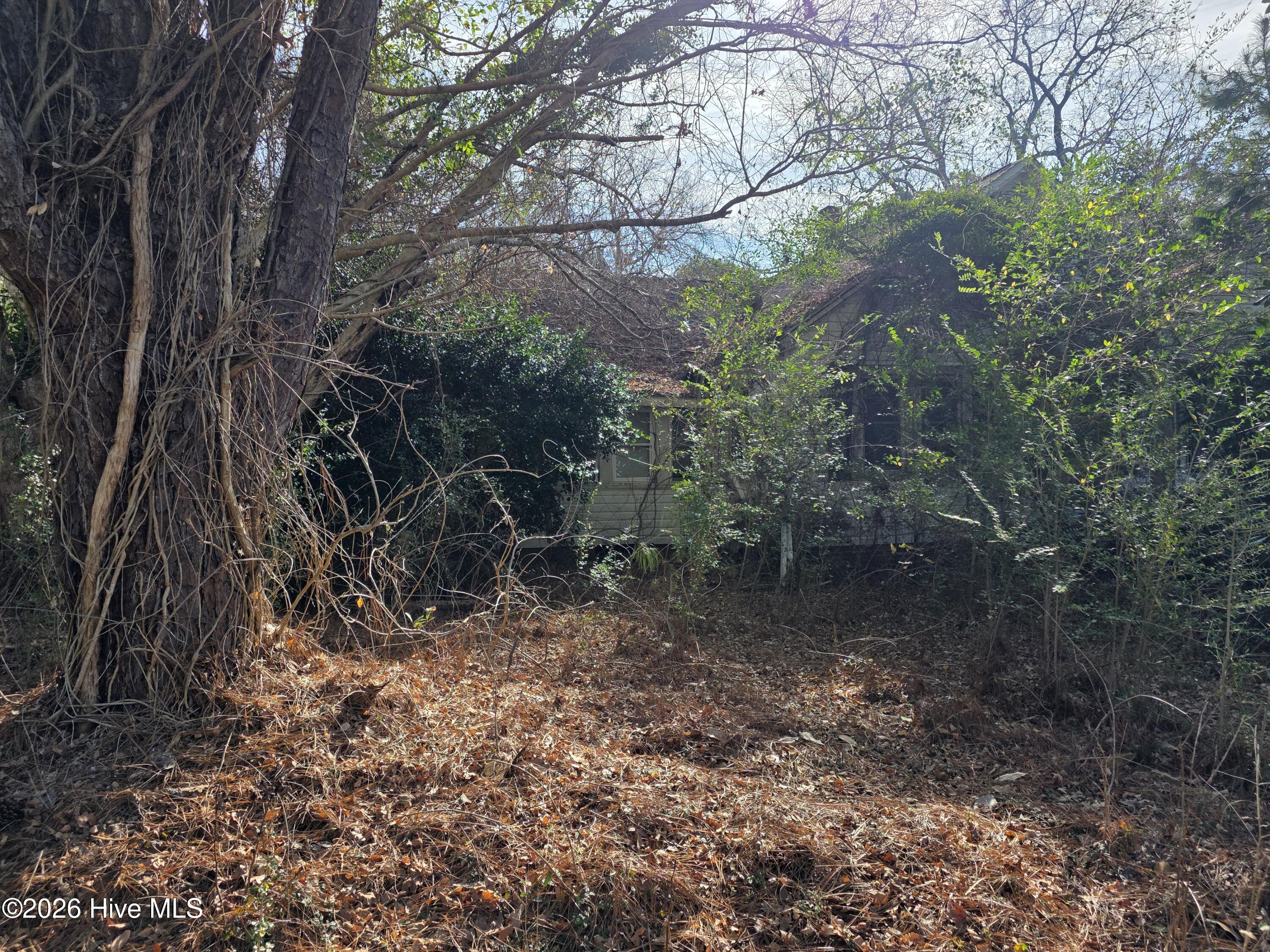 main property photo 7