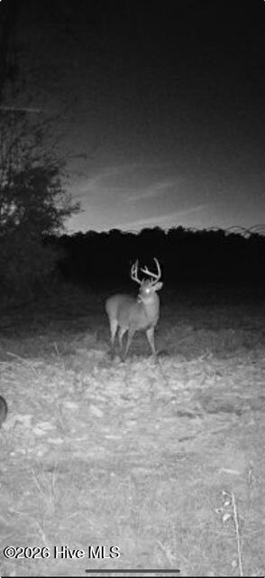 main property photo 60