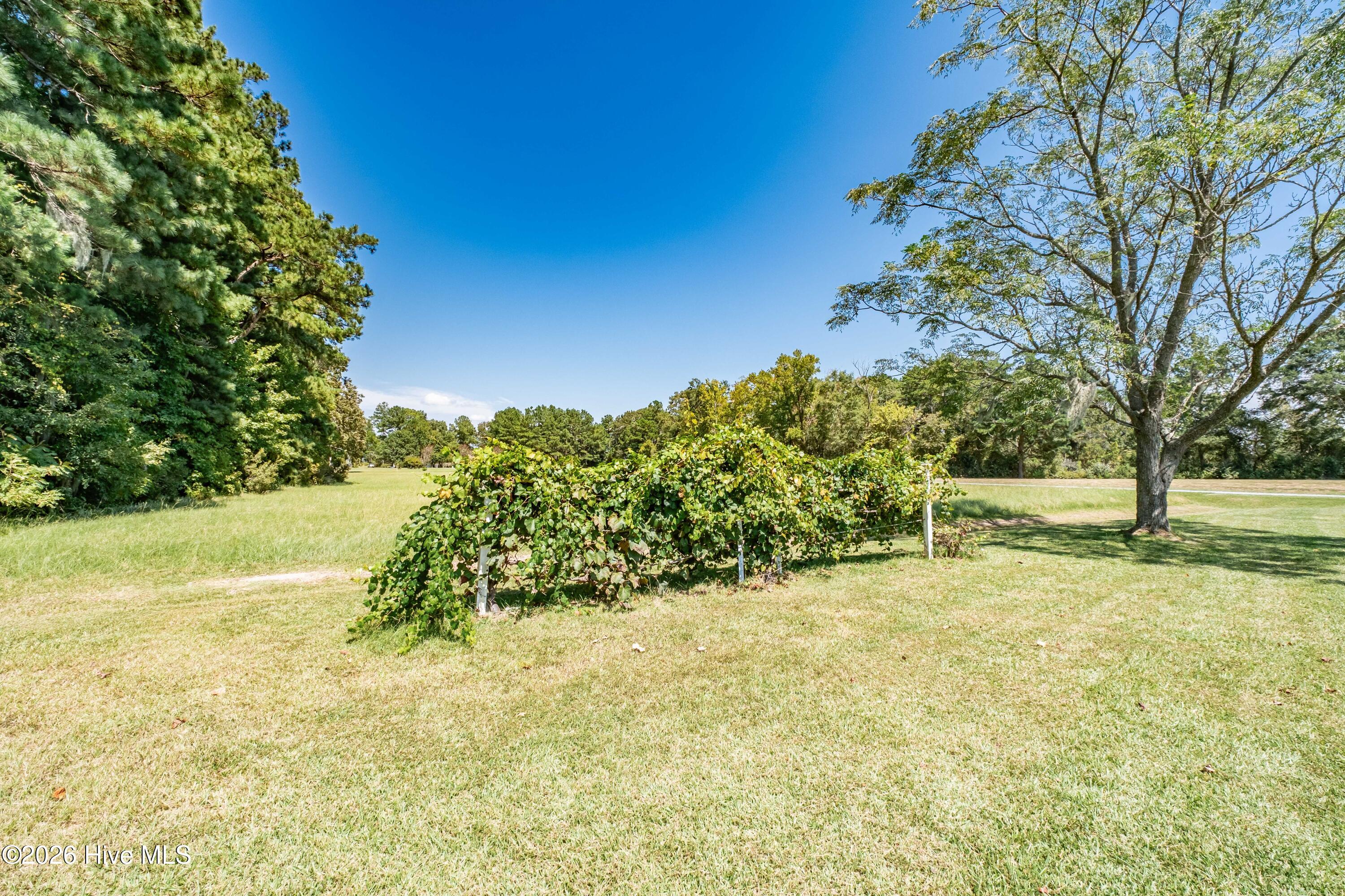 main property photo 48