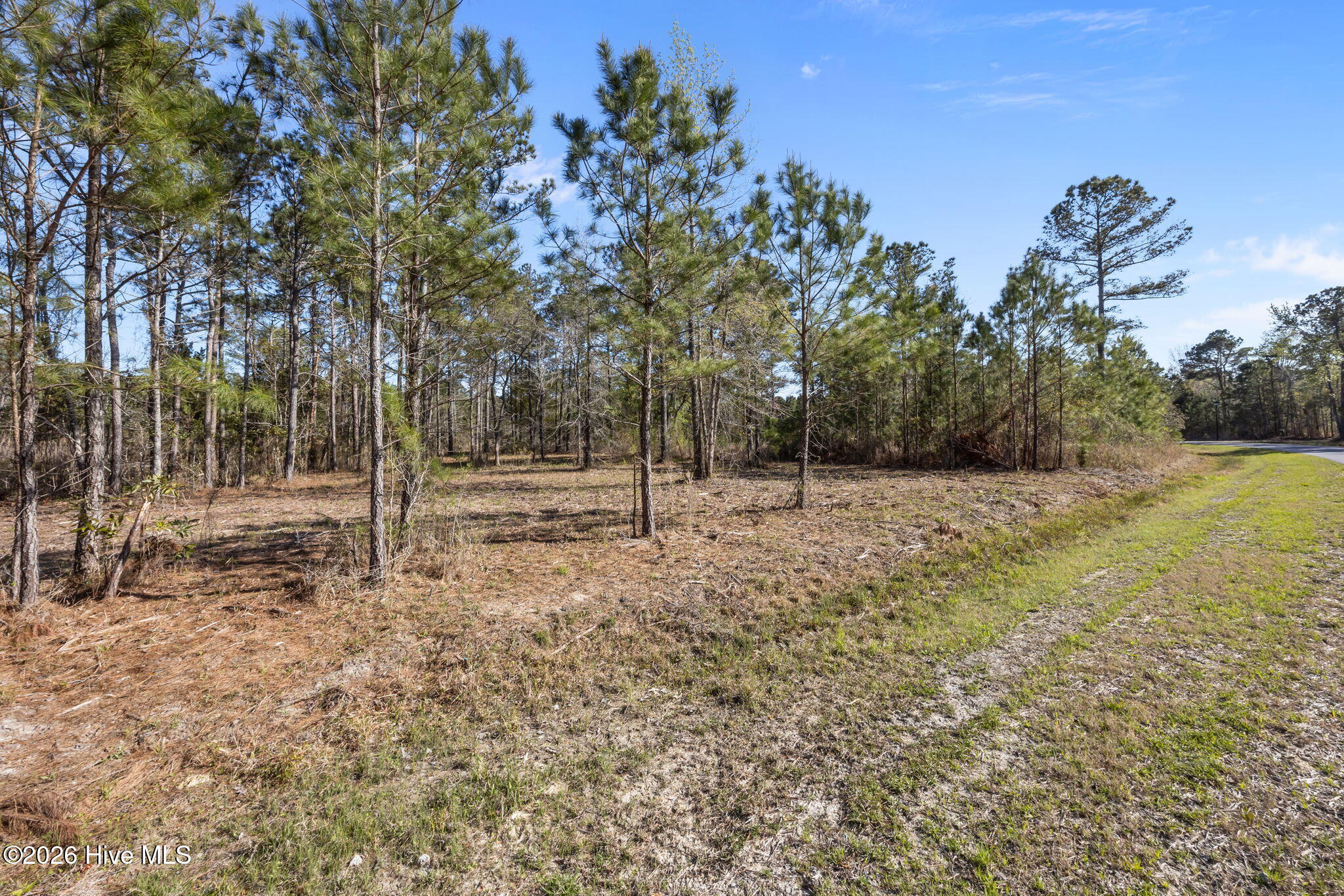 main property photo 4