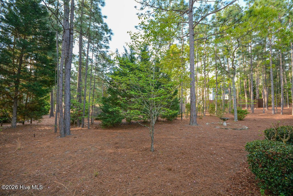 main property photo 49
