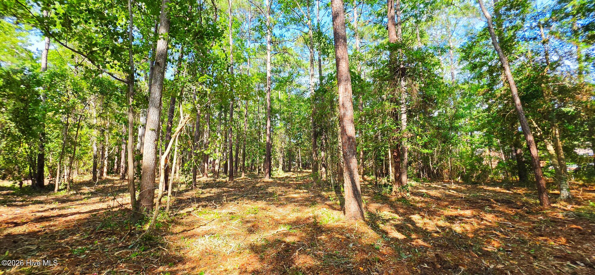 main property photo 11