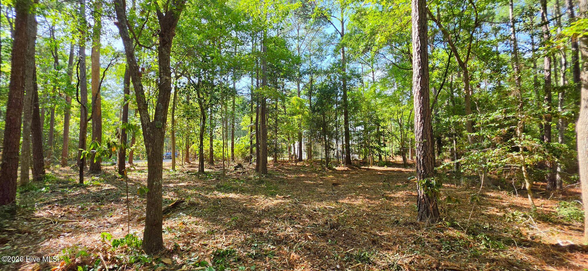 main property photo 6