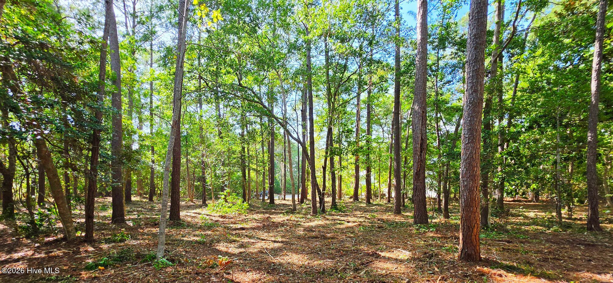 main property photo 8