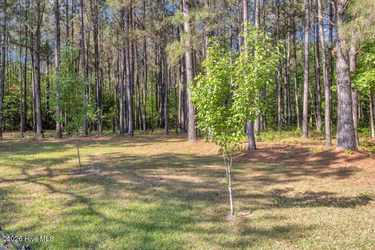 main property photo 120