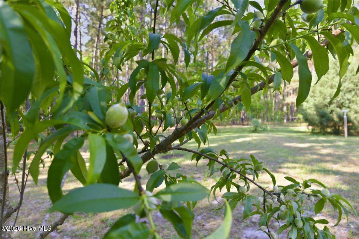 main property photo 124