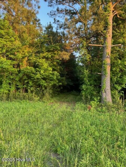 main property photo 6