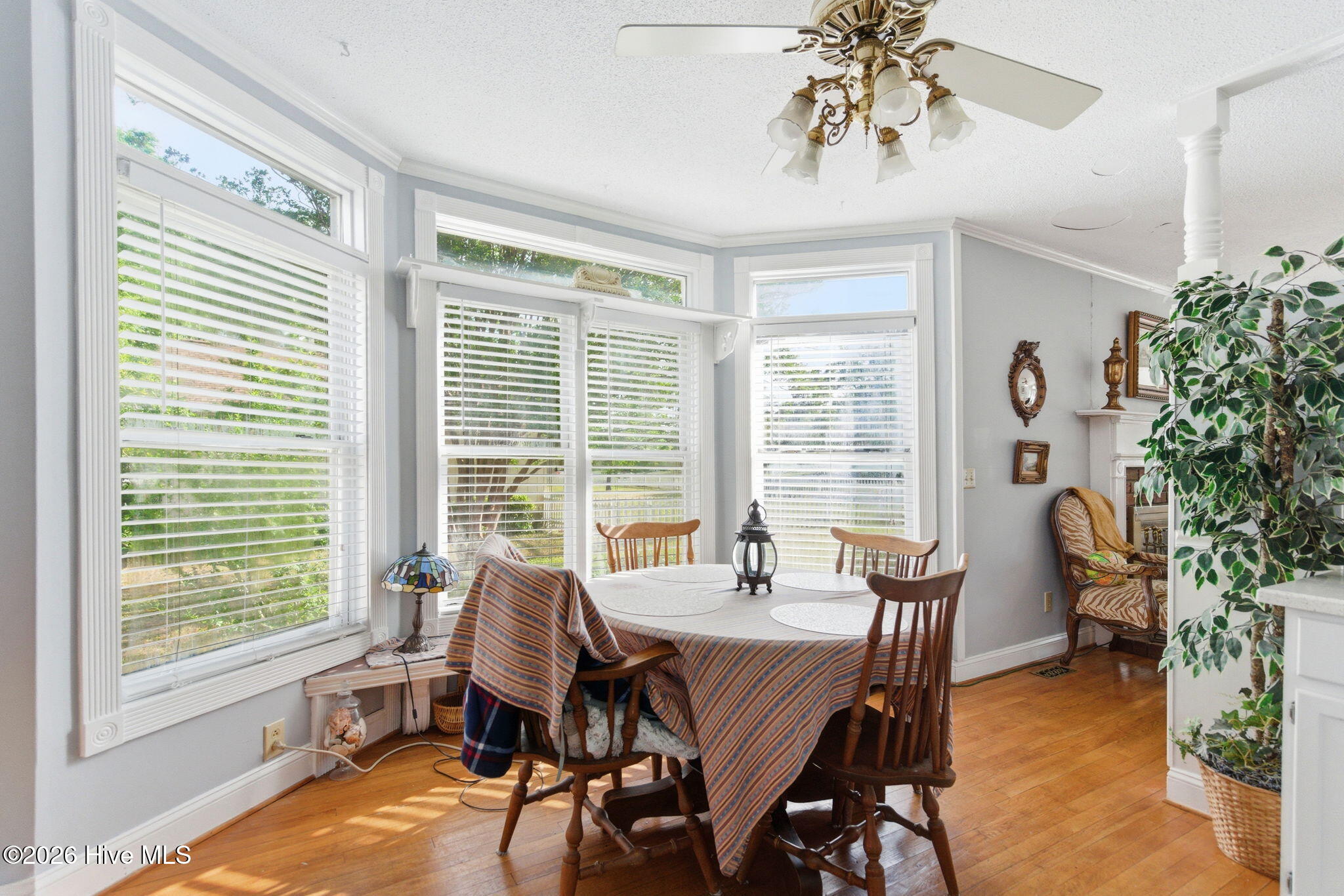 main property photo 56