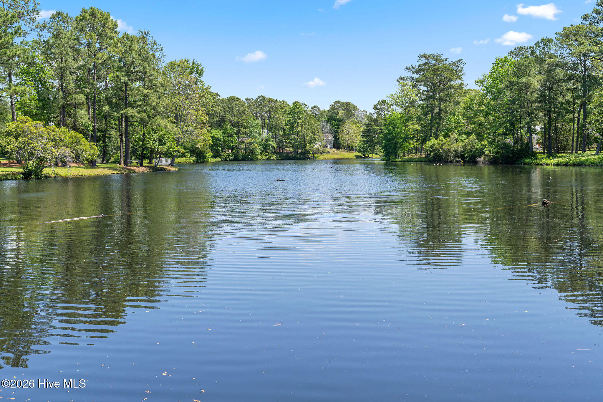 main property photo 89