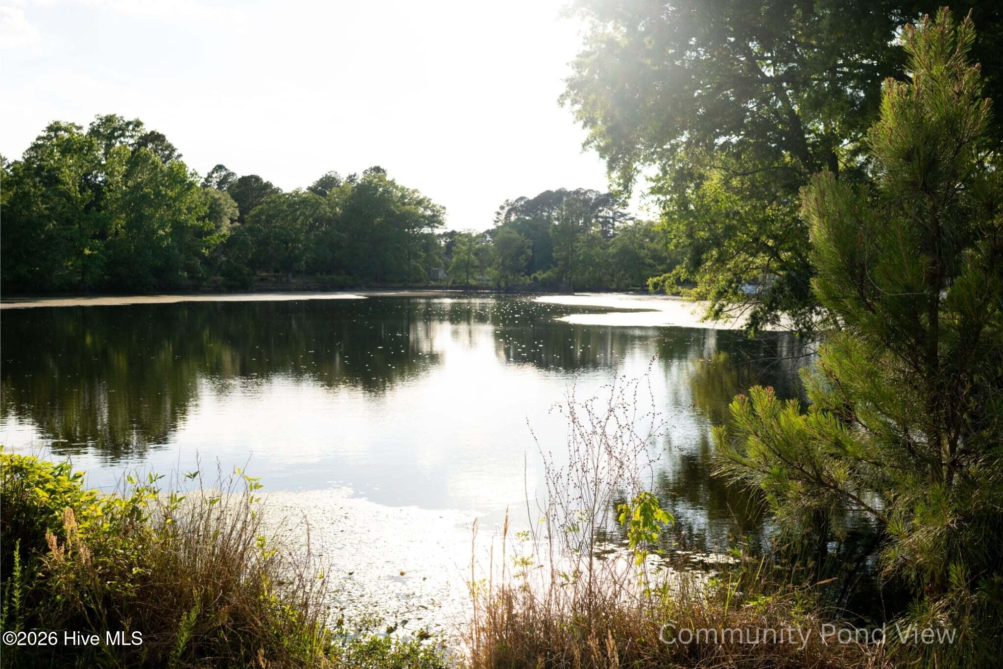 main property photo 50