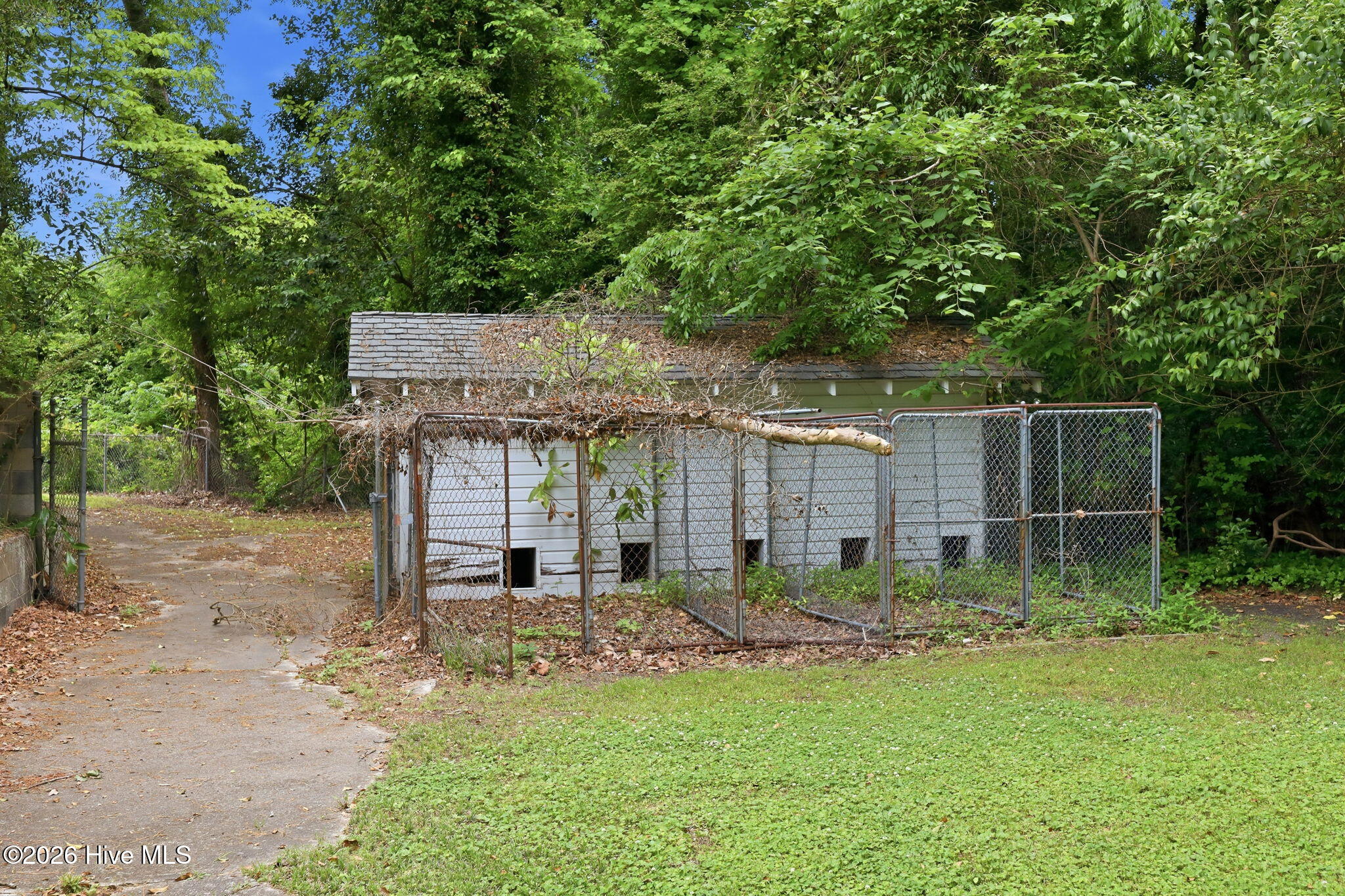 main property photo 56