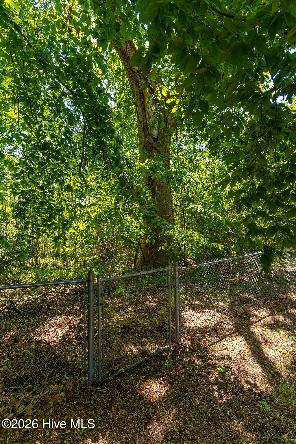 main property photo 68