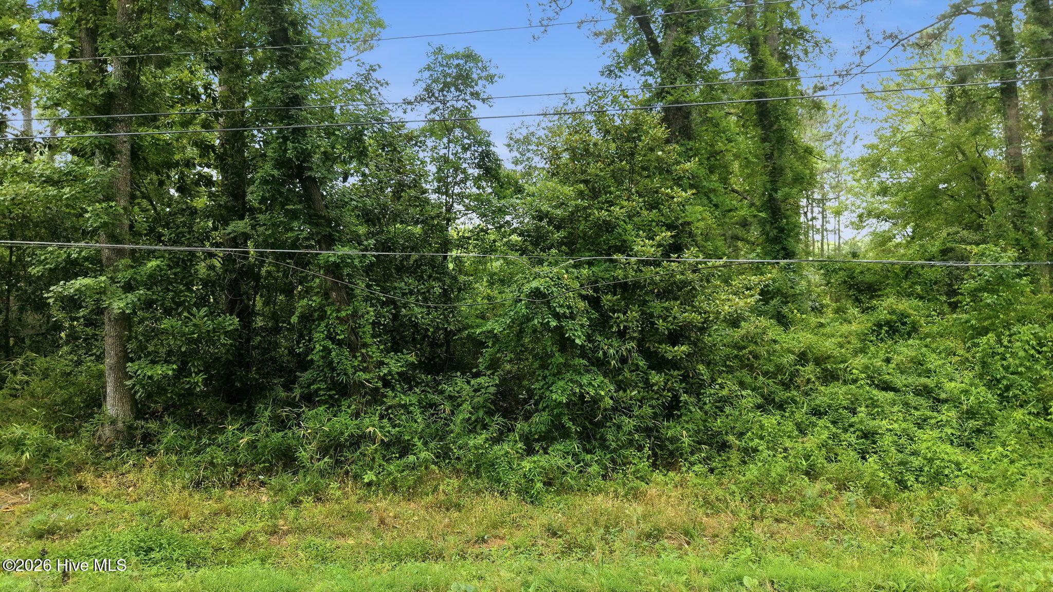 main property photo 58