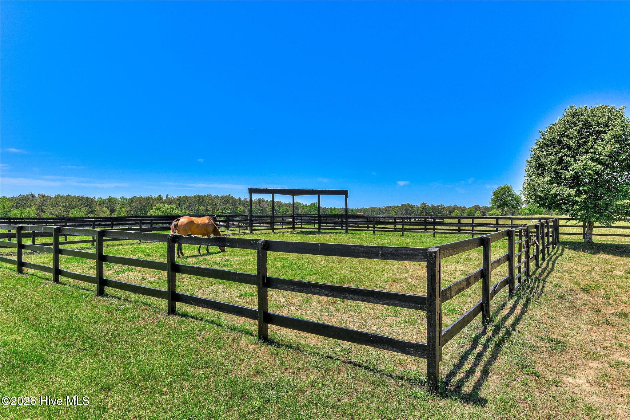 main property photo 81