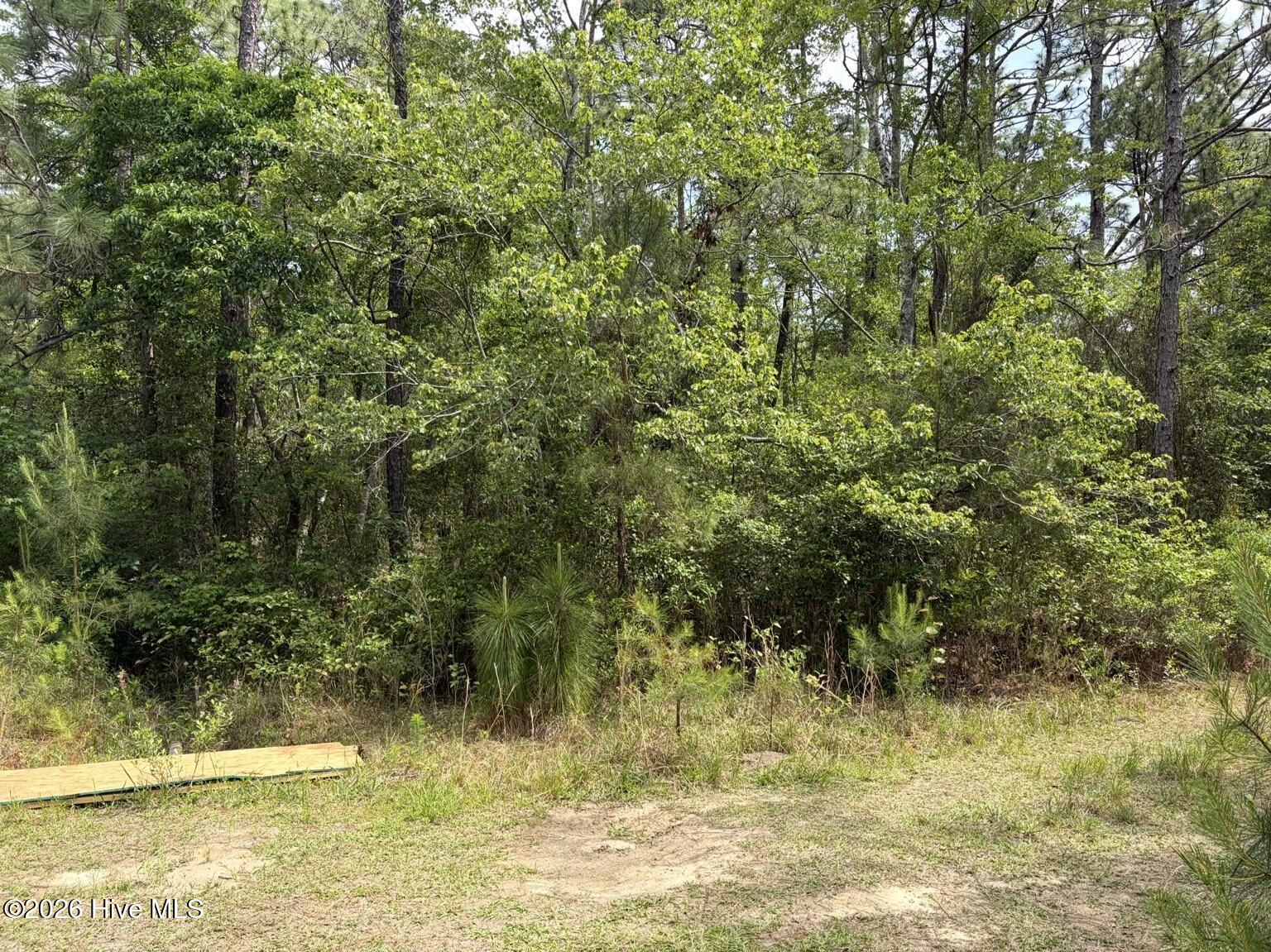 main property photo 5