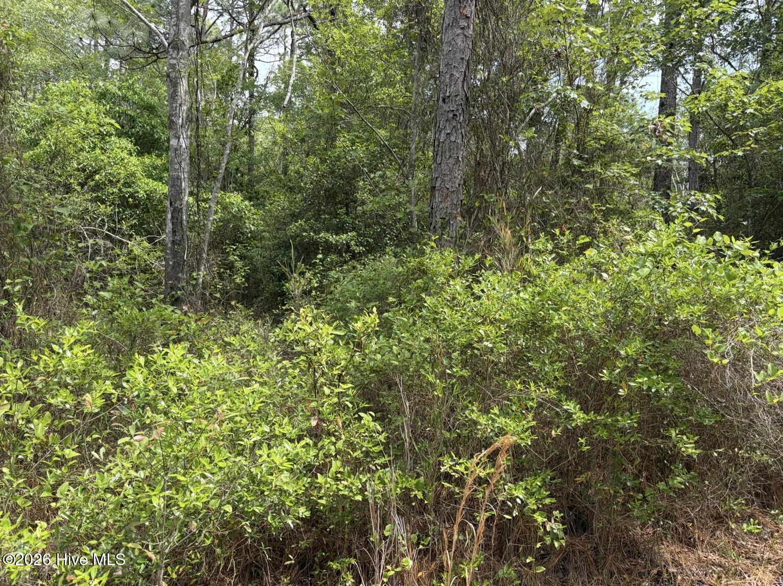 main property photo 6