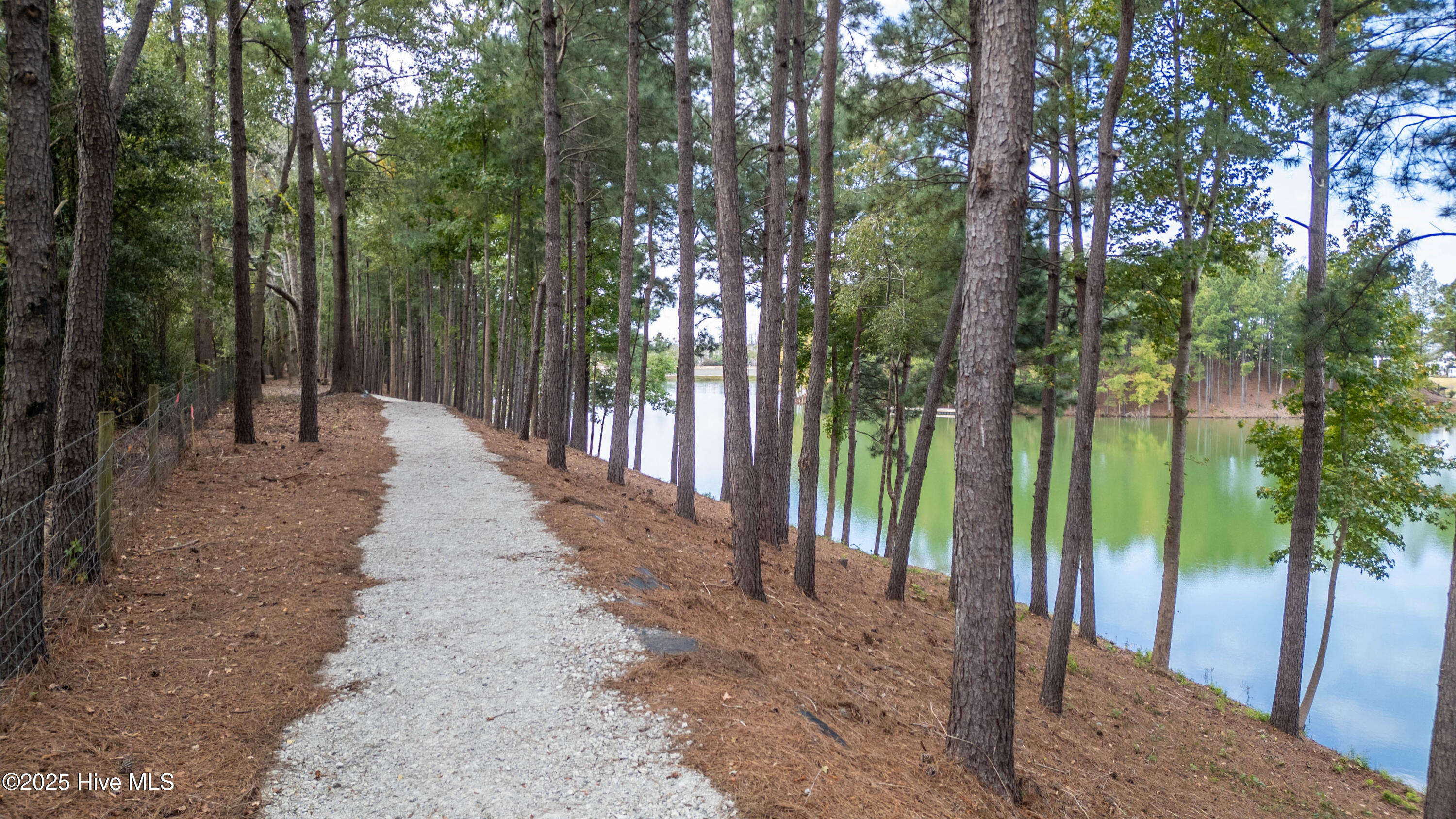 main property photo 69