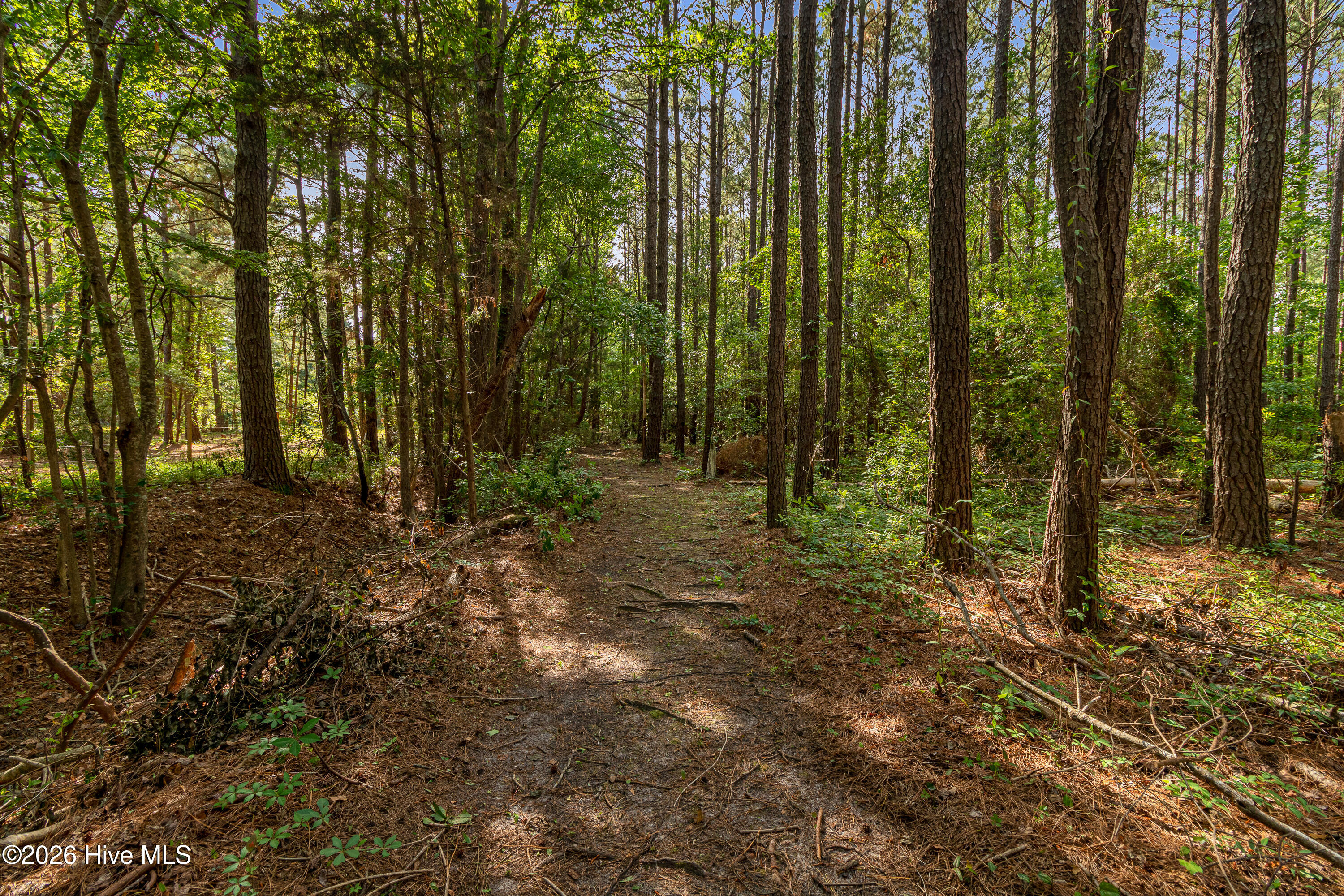 main property photo 16