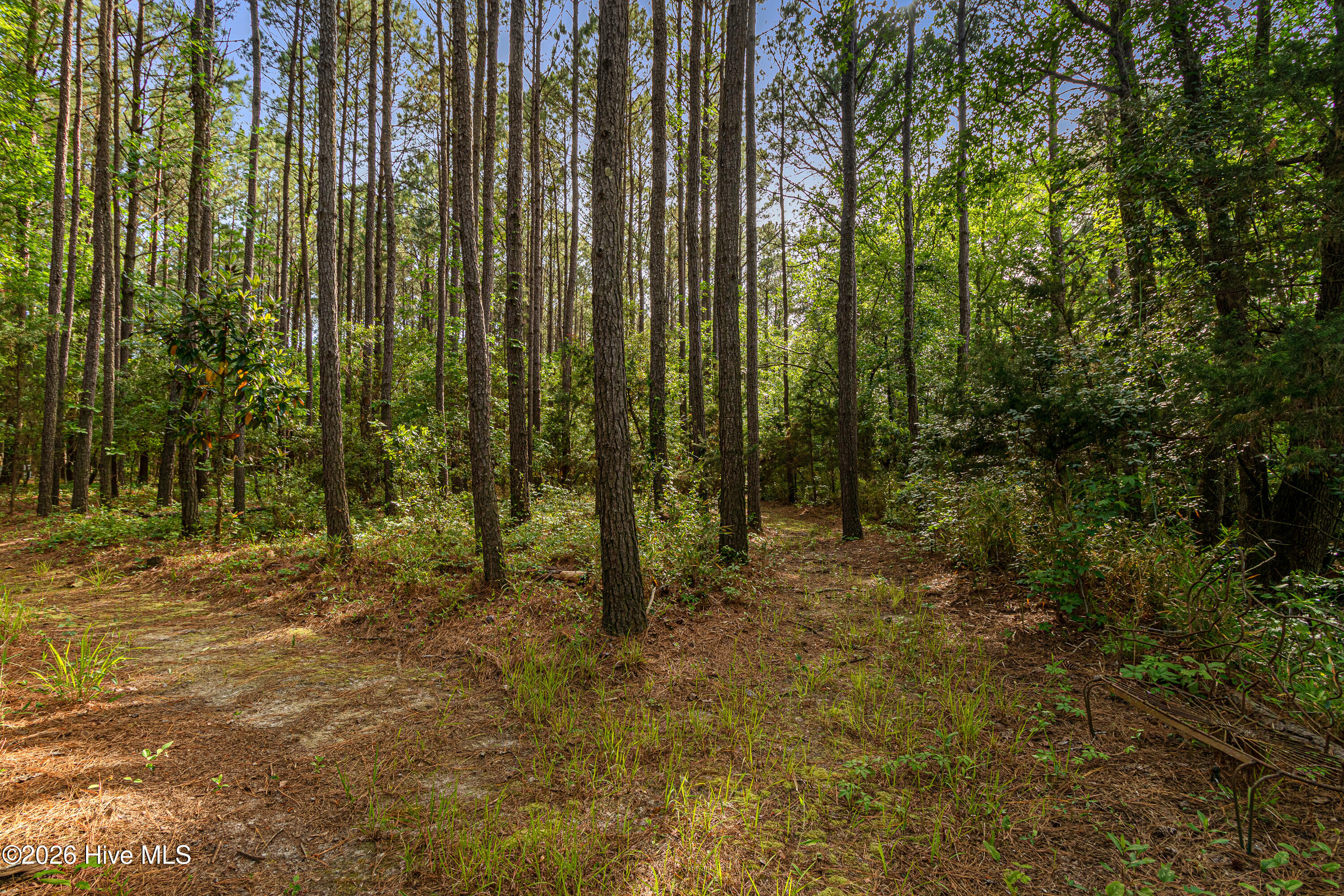 main property photo 19
