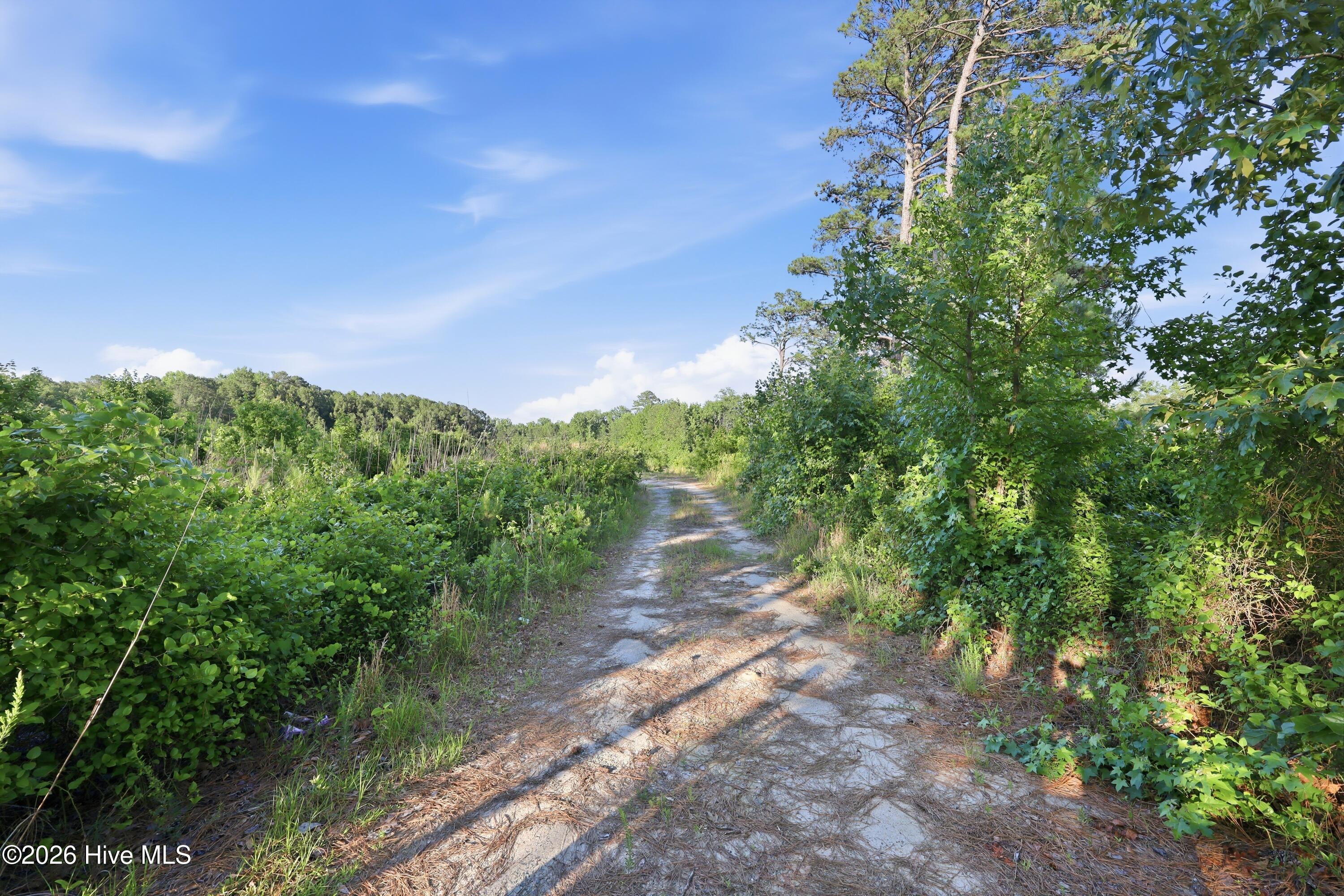 main property photo 9