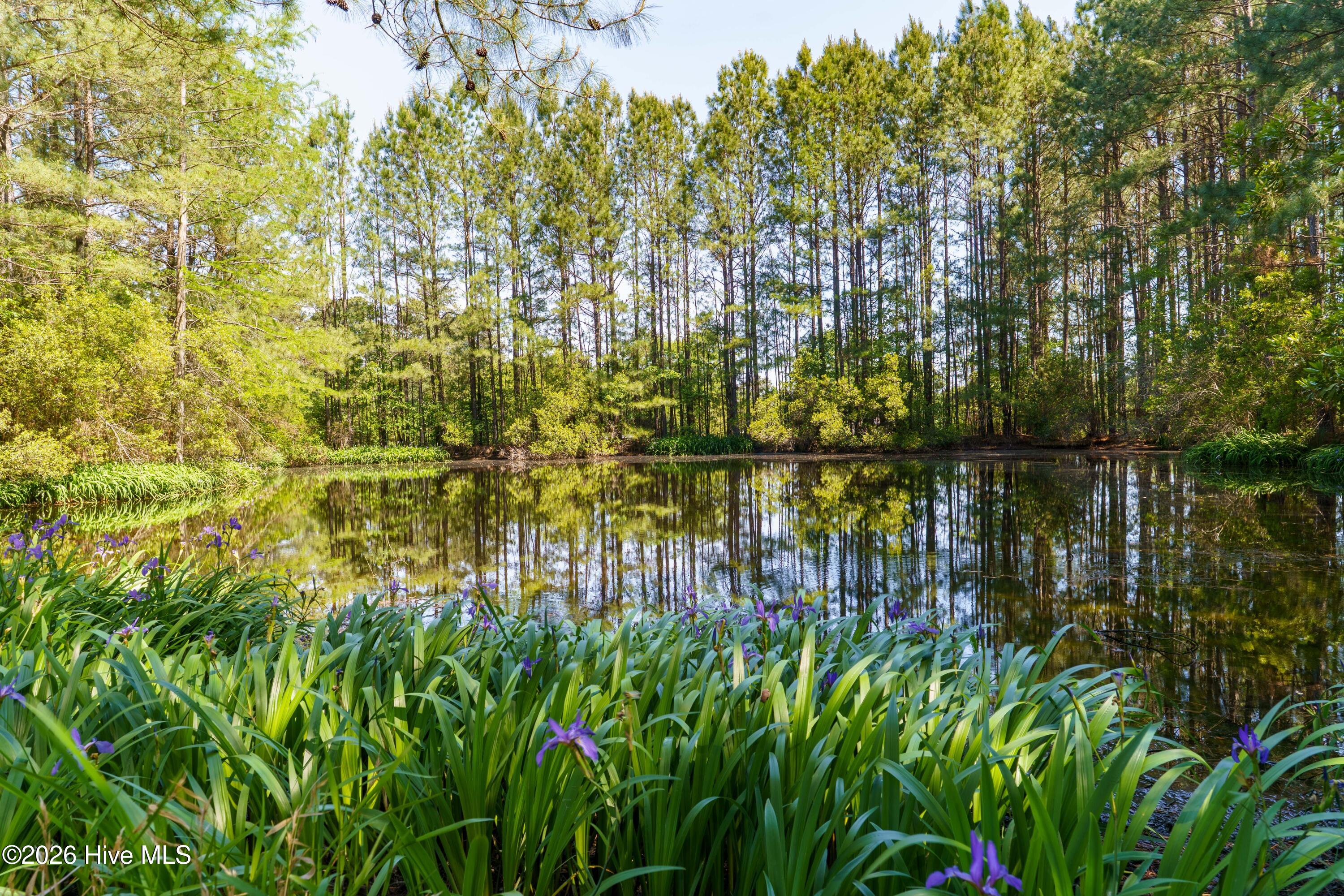 main property photo 40