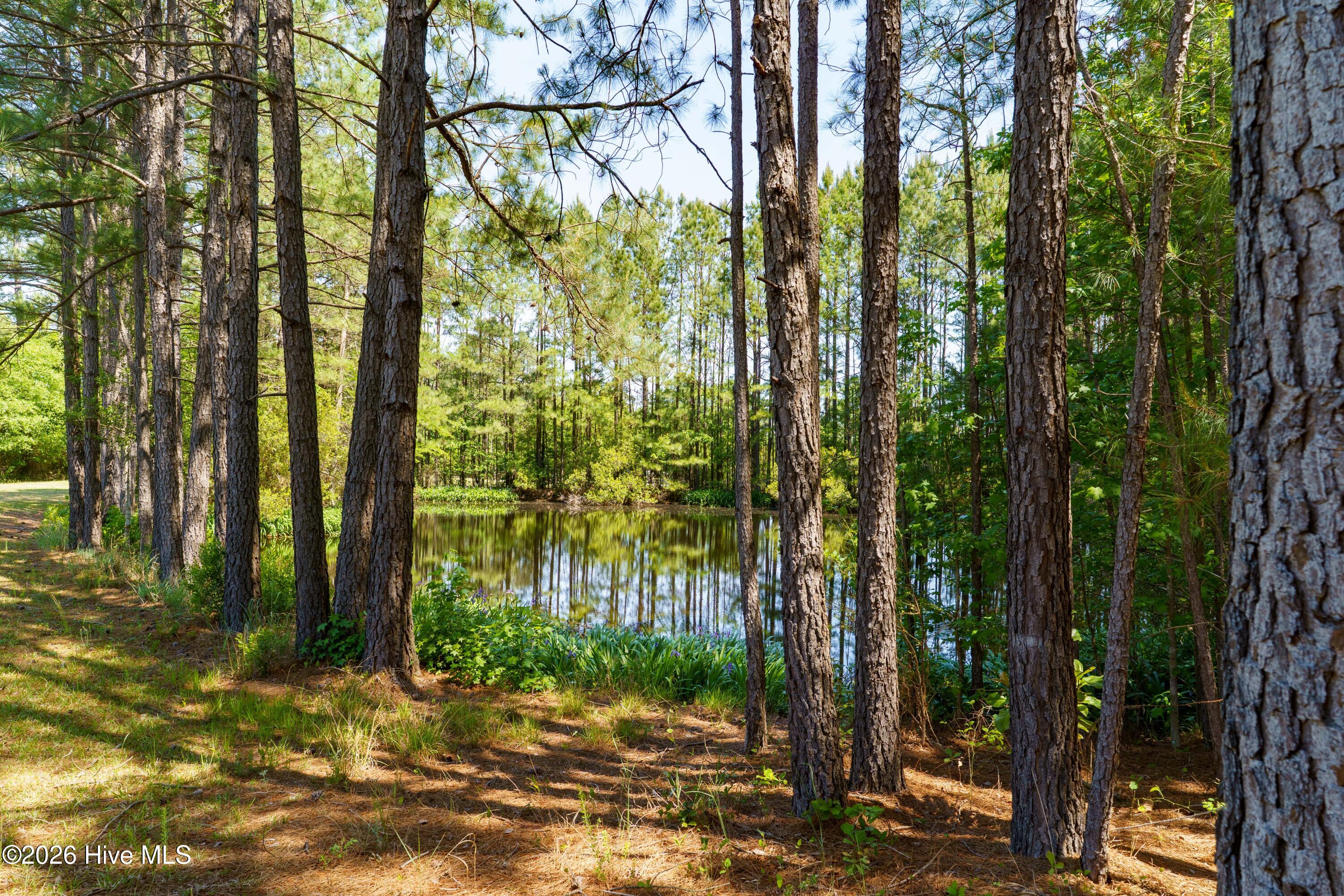 main property photo 55