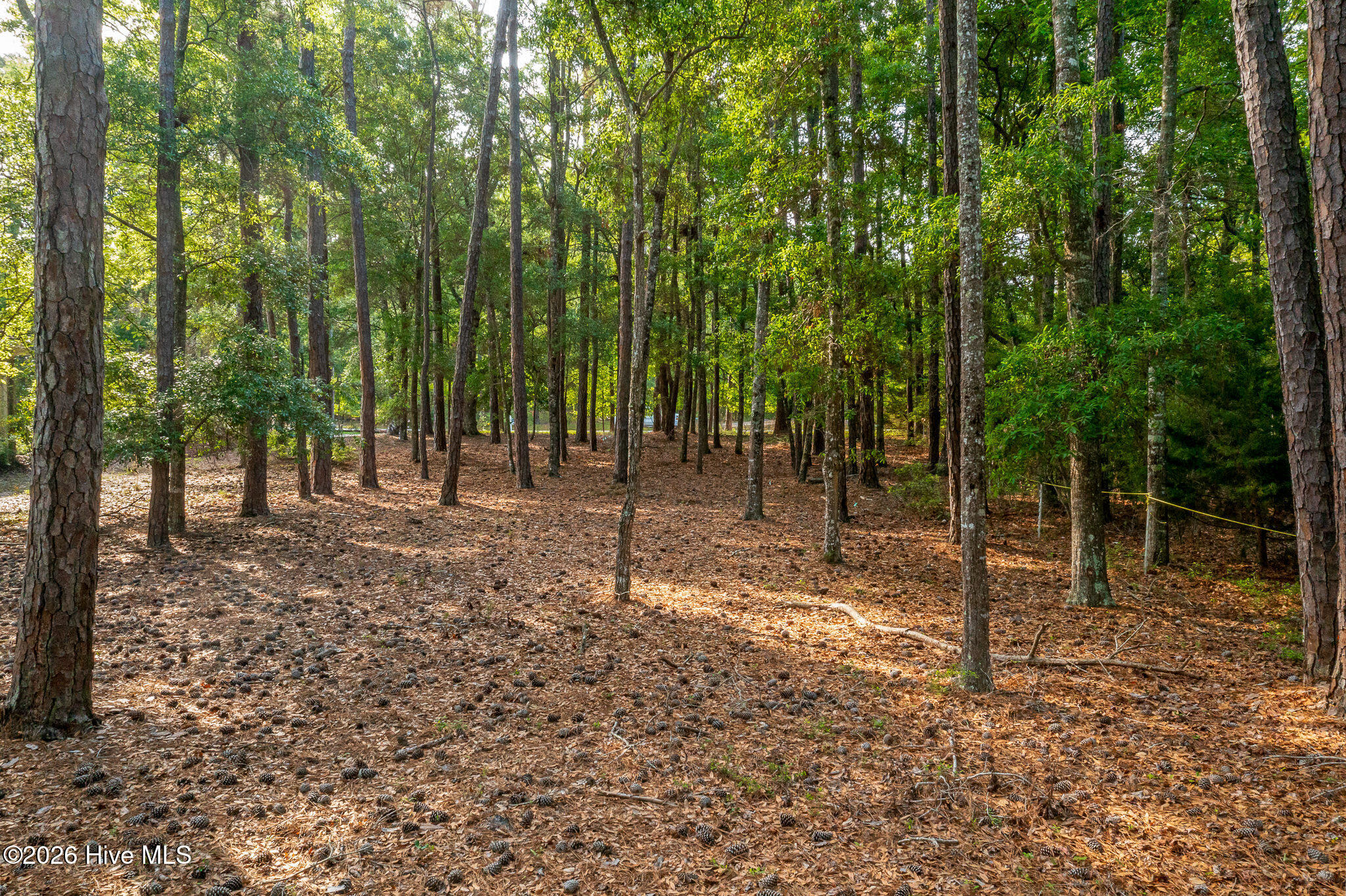 main property photo 24